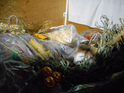 DSCN0795