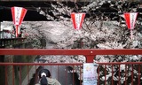 20100331132028