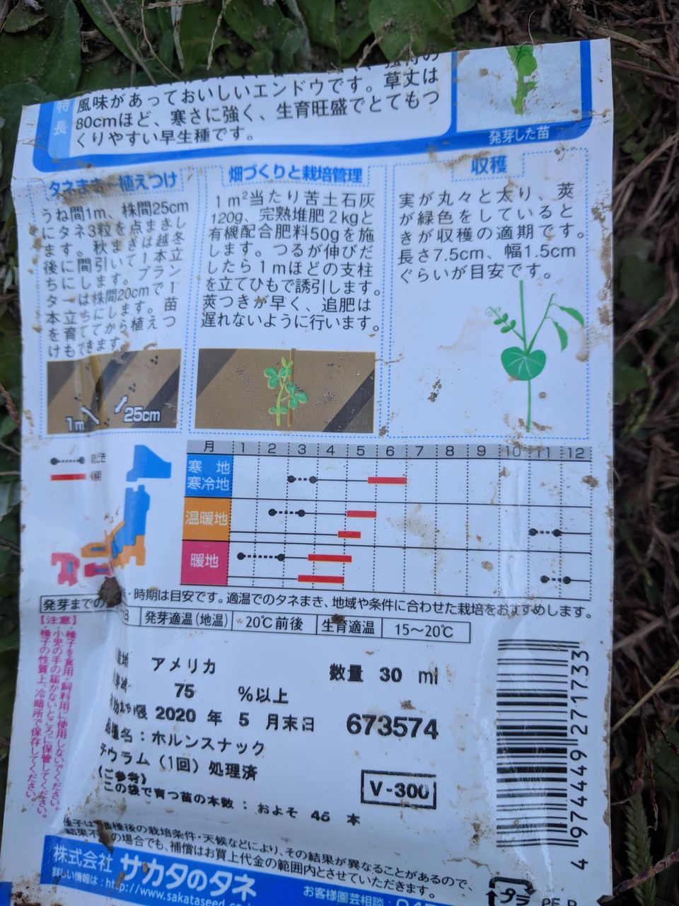 スナップエンドウの種を撒く 種まき1日目 Takako S家庭菜園記録 スナップエンドウの種を撒く 種まき1日目 Takako S家庭菜園記録