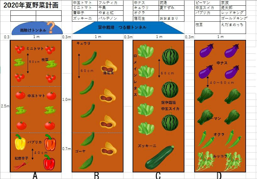 Takako's家庭菜園記録2020年04月24日トマトについて（随時更新）2020年夏野菜栽培計画図