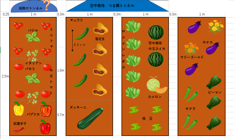年夏野菜計画 1号畑 変更後 Takako S家庭菜園記録 年夏野菜計画 1号畑 変更後 Takako S家庭菜園記録