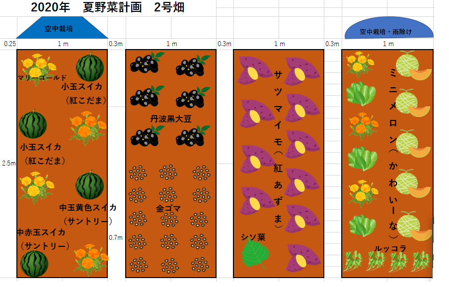 年夏野菜計画表 2号畑 Takako S家庭菜園記録 年夏野菜計画表 2号畑 Takako S家庭菜園記録