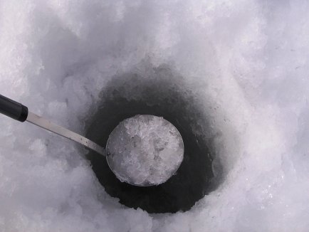 わかさぎ3