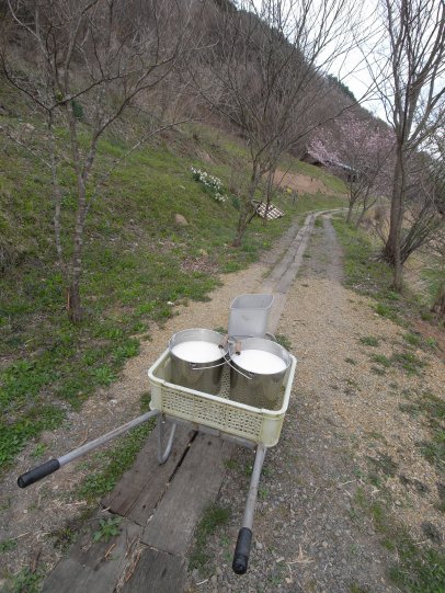 たんぽぽ堂1