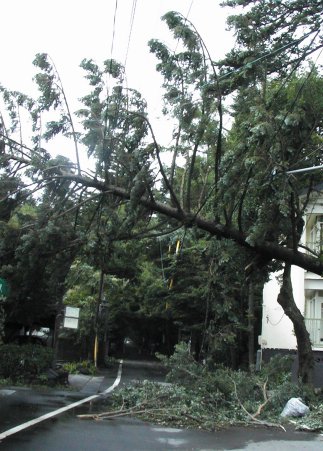 台風1