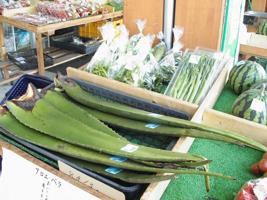 農ん喜村3