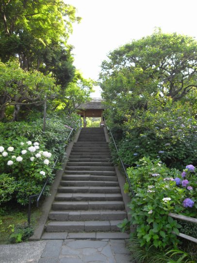 鎌倉6