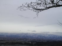 春日山8
