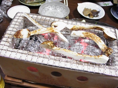 松茸5