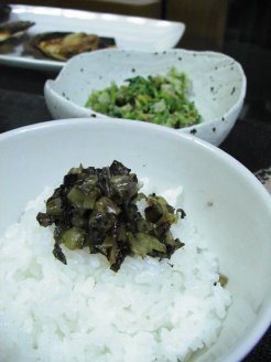 ごはんBar5