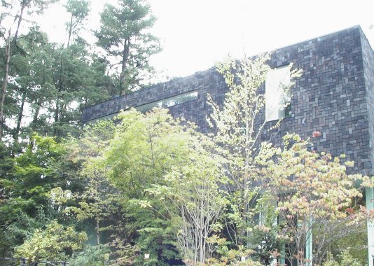 無彩庵1