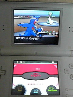 個体値判定 バトルサブウェイ 廃人施設 劉禅 立命