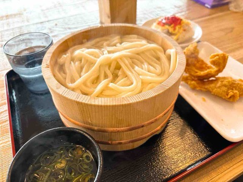 高松市屋島西町 「たぬ吉製麺 屋島総本店」 : たかまつせんいちの