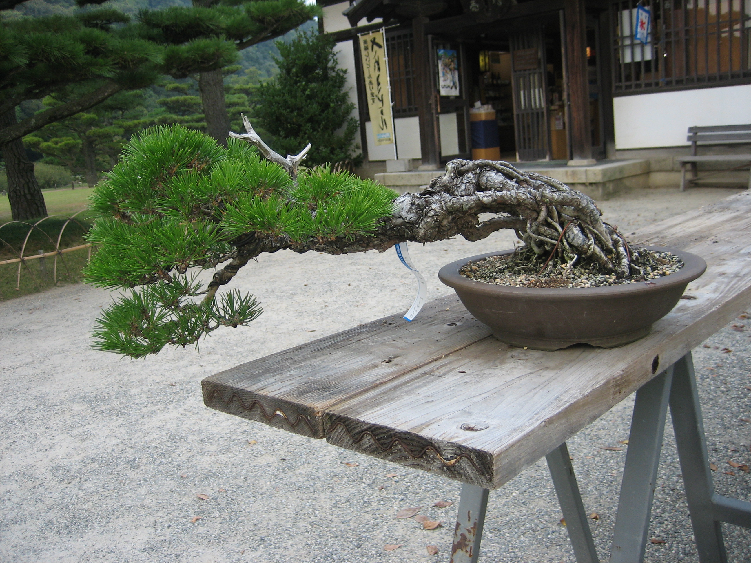 高松城下町の暮らし　　　　　　　　　　　　　　　　　　　　                高松リズム