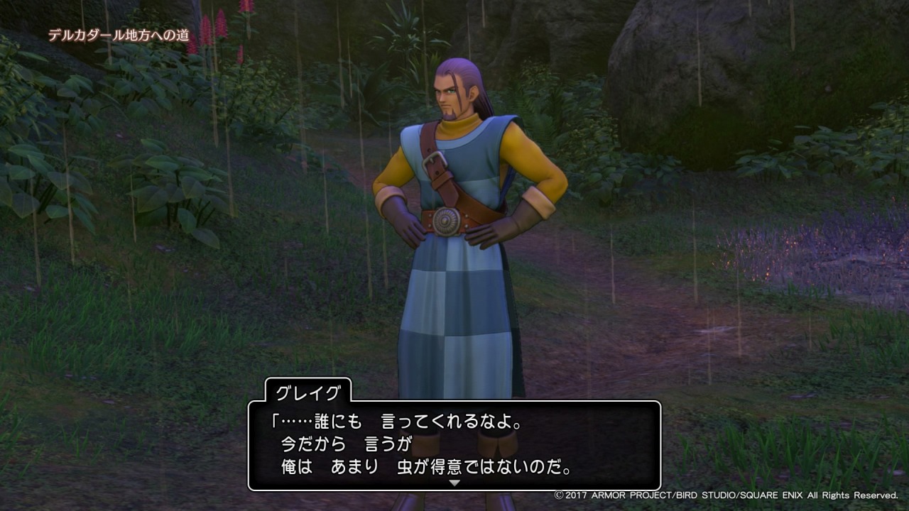 ドラゴンクエストxi 過ぎ去りし時を求めて プレイ随想 フェルナンド 華美行進のシルビアと遇う 鷹嶺公記 玉纓 ドラゴンクエストxi 過ぎ去りし時を求めて プレイ随想 フェルナンド 華美行進のシルビアと遇う 鷹嶺公記 玉纓