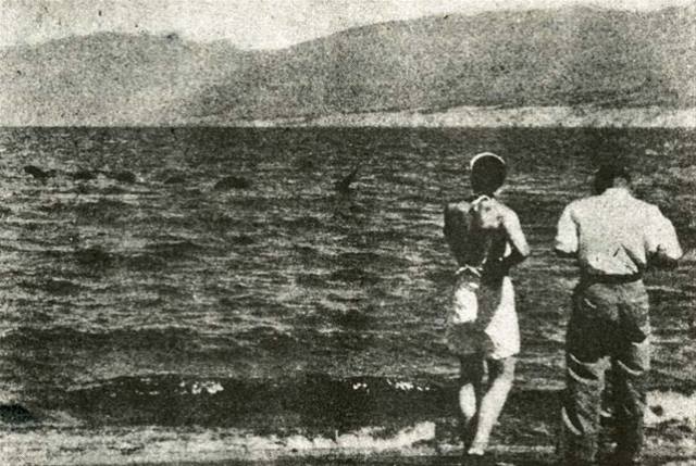 13SHOE・高野十座のブログ	  オゴポゴと言えばこれ [Ogopogo says this!]	コメントトラックバック                高野 十座