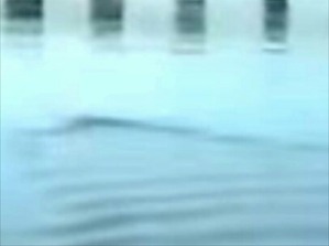 Screenshot_2016-06-26-07-55-34