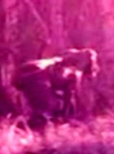 Screenshot_2016-01-18-16-02-13