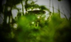 Screenshot_2015-09-26-20-46-27