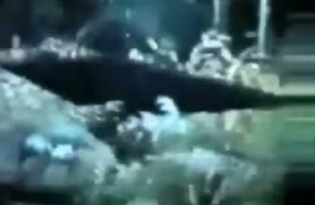 Screenshot_2015-11-28-18-41-04