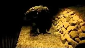 Screenshot_2015-11-14-03-26-24