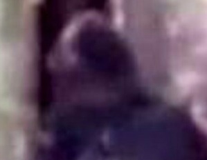 Screenshot_2016-03-14-12-10-38