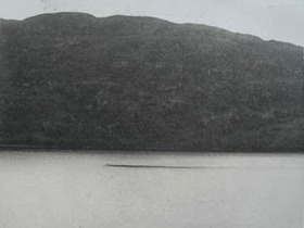 Possible Loch Ness Photo 1938 from eBay zoomed