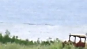 Screenshot_2016-05-11-19-29-51