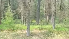 Screenshot_2015-11-18-09-56-23