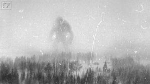 Screenshot_2016-03-01-04-48-55