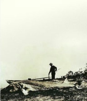 Screenshot_2015-10-27-08-29-29