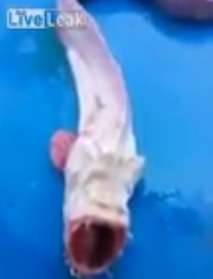 Screenshot_2016-04-30-08-06-40