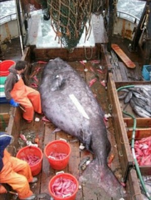 Screenshot_2016-05-04-10-47-11