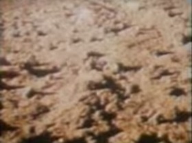 Screenshot_2015-10-12-10-22-43