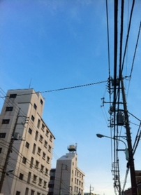 08d8e5a1.jpg