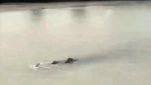 Screenshot_2016-06-25-07-27-48