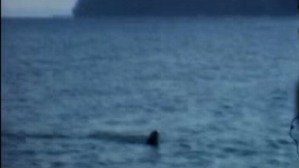 Screenshot_2016-03-31-03-41-41