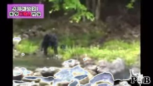 Effectplus_20160313_104531