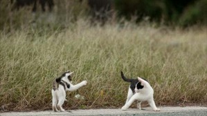 Screenshot_2016-01-31-16-27-50