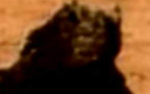 Screenshot_2016-03-12-04-01-24