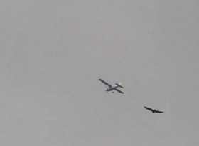 0a9770f5.jpg