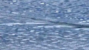 Effectplus_20160301_225109