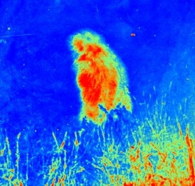 Effectplus_20150916_181628