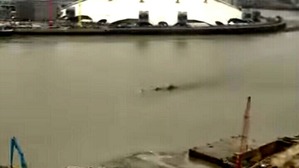 Screenshot_2016-04-01-11-48-46