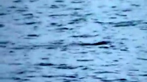 Screenshot_2016-06-26-11-01-09