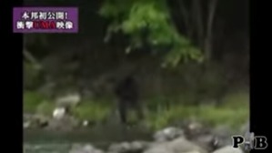 Screenshot_2016-03-13-10-37-08