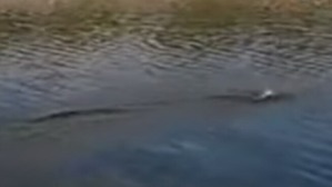 Screenshot_2016-07-01-03-44-23