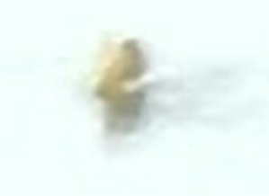 Screenshot_2016-02-14-07-44-41