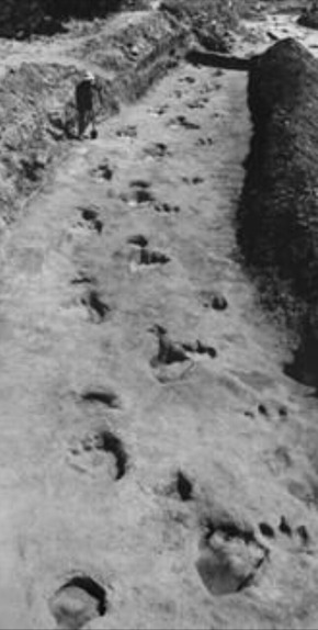 Screenshot_2015-12-22-20-44-04