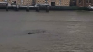 Screenshot_2016-04-12-22-28-41